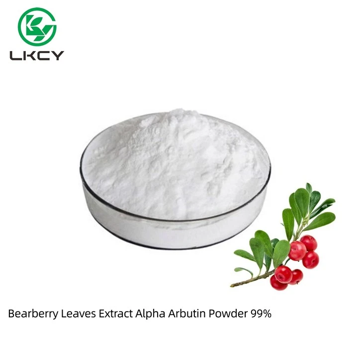 Extrakt z listů medvědice Alpha Arbutin Powder
